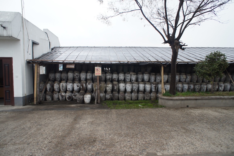 歴史と地域分類－7000年以上の歩み