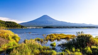 黄酒・紹興酒が楽しめる中華レストラン2選 | 山梨編