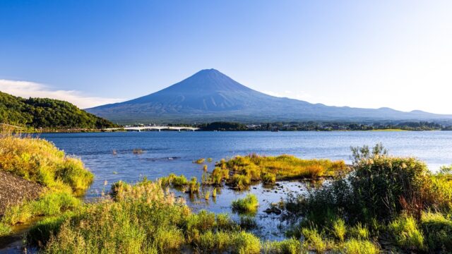 黄酒・紹興酒が楽しめる中華レストラン2選 | 山梨編